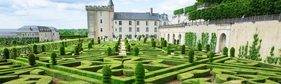 Loire Valley 'relaxed' - from Tours to Angers 6 days