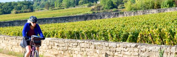 Cycling Burgundy and its prestigious vineyards French Bike Tours