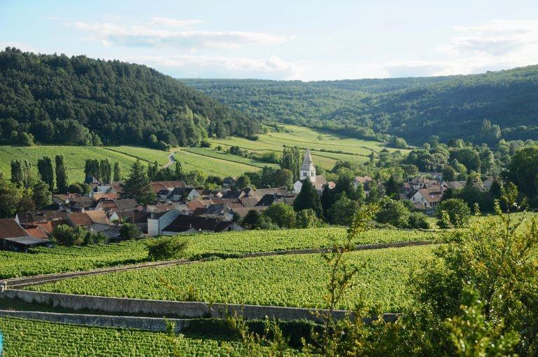 Burgundy - cycling around wine capital Beaune