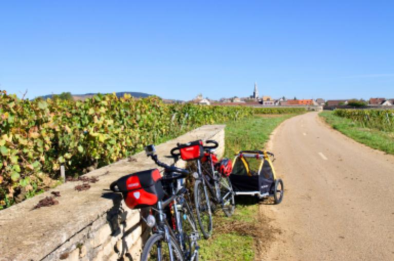 Cycling Burgundy and its prestigious vineyards