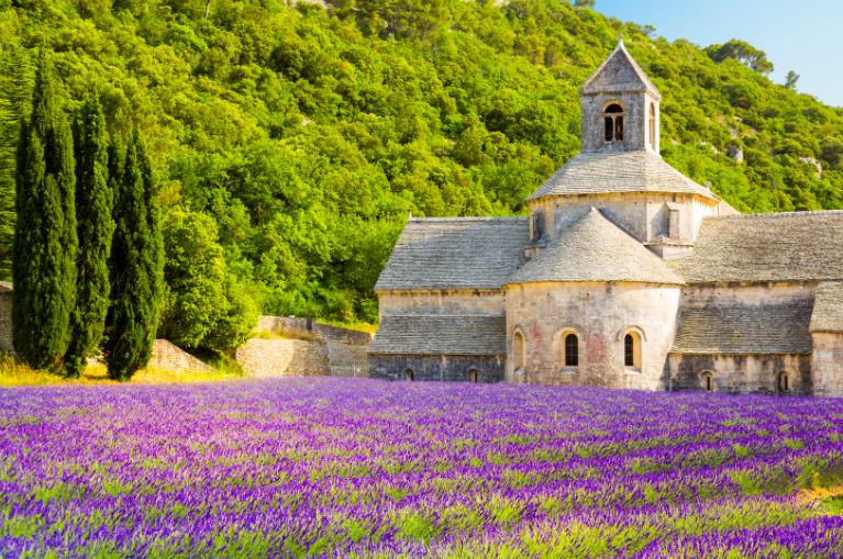 Provence - French Bike Tours