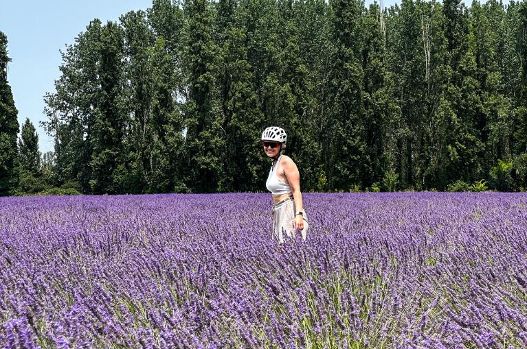 Cycling highlights of Provence - 8 days