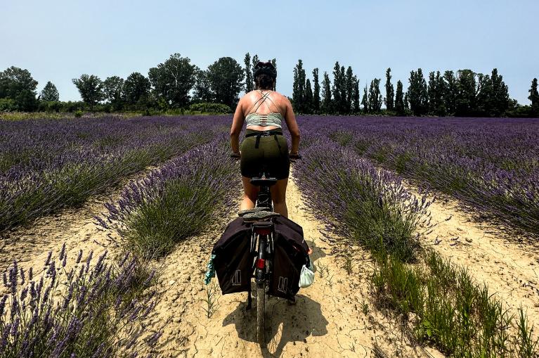 Cycling highlights of Provence - 8 days