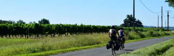 cyclists in france's countryside