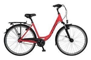 Hybrid Rental Bike