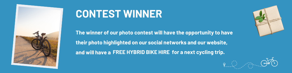 3-FBT-Winner (1)