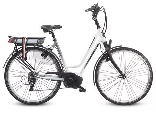 Electric Bike Rental