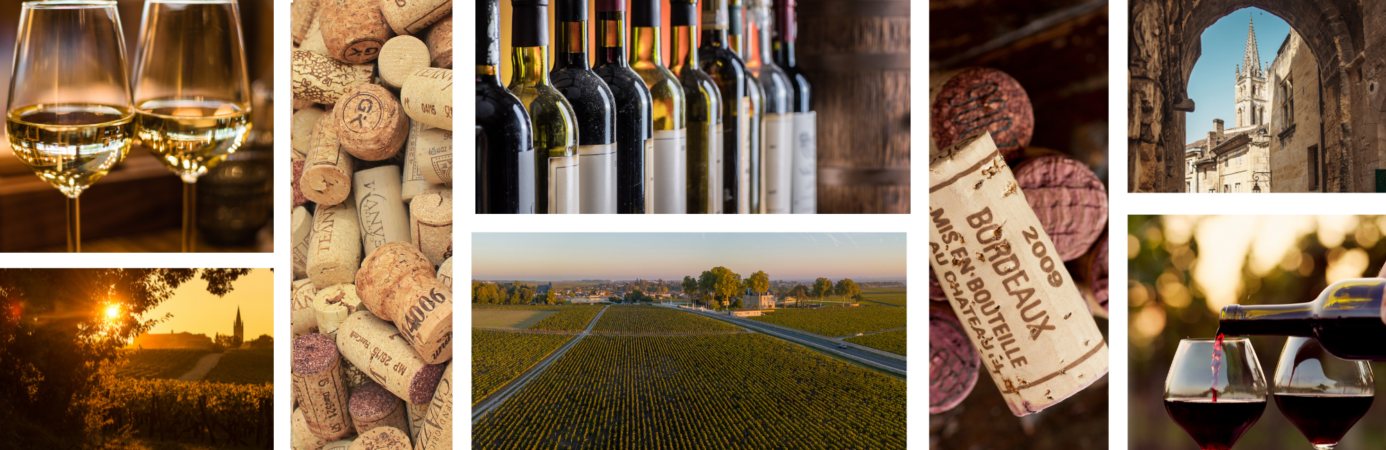 cycling wine tour